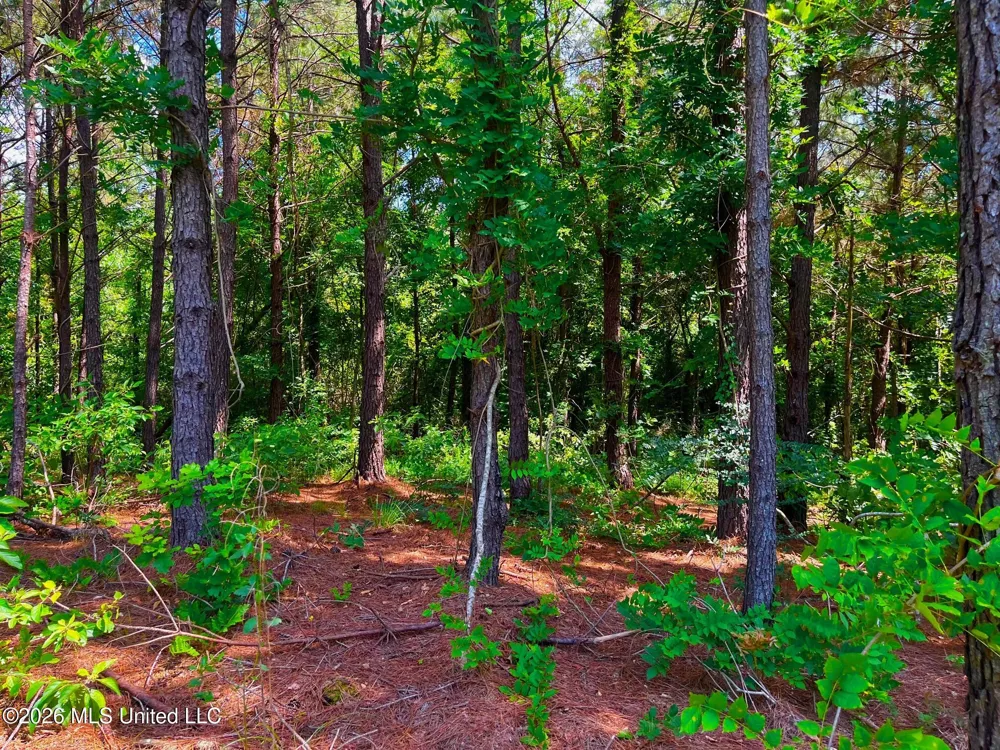 Arthur Drive Brookhaven, MS 39601
