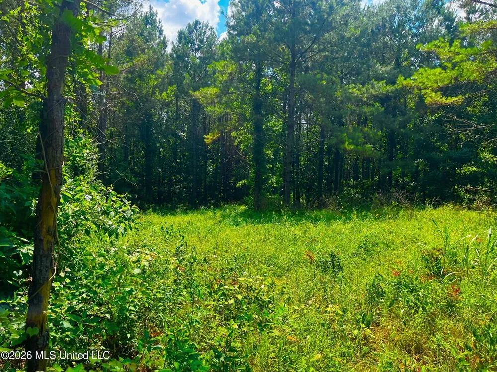 Arthur Drive Brookhaven, MS 39601