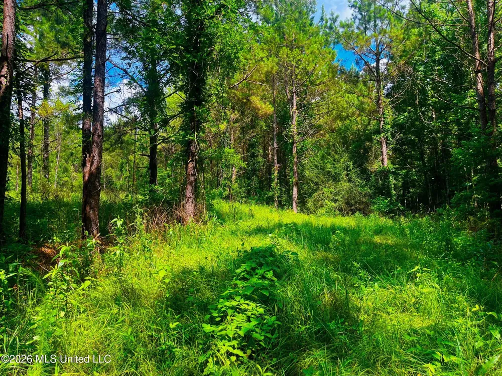 Arthur Drive Brookhaven, MS 39601