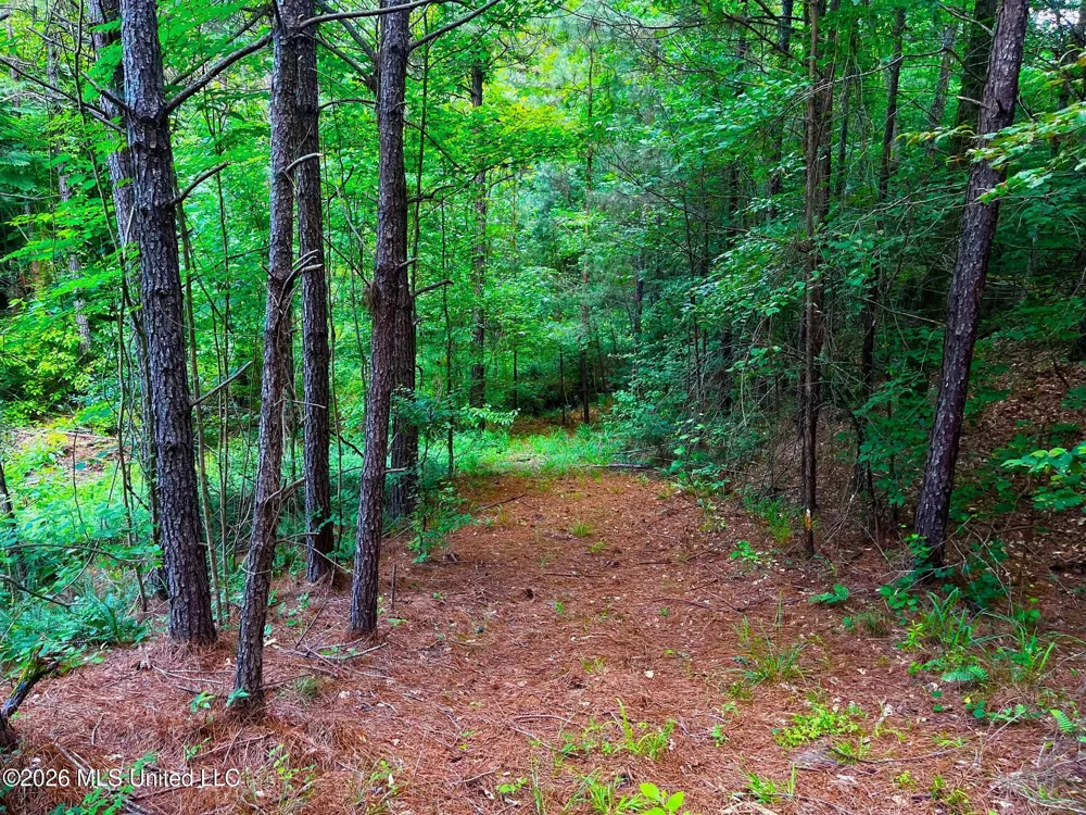 Arthur Drive Brookhaven, MS 39601