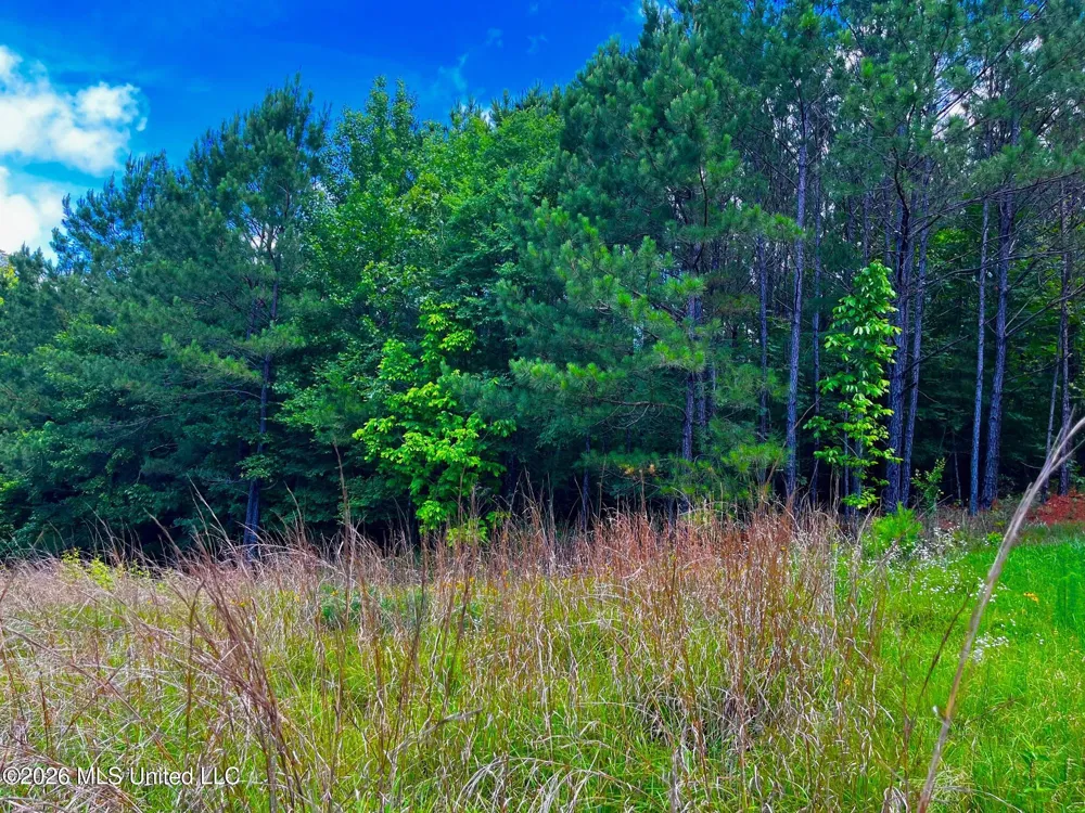 Arthur Drive Brookhaven, MS 39601
