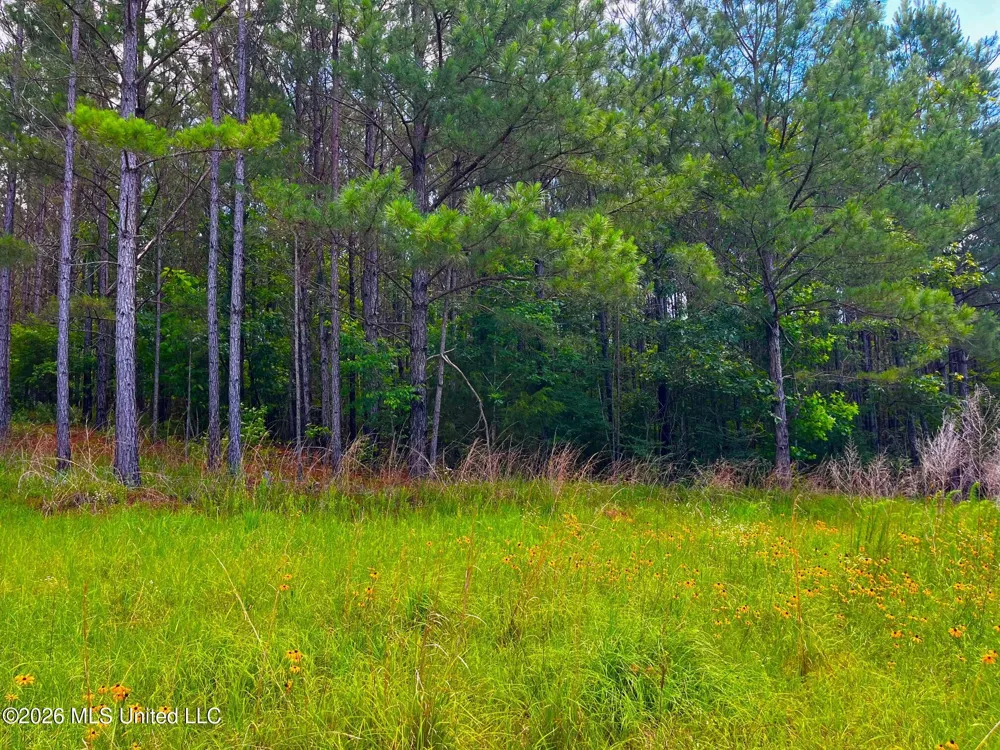 Arthur Drive Brookhaven, MS 39601