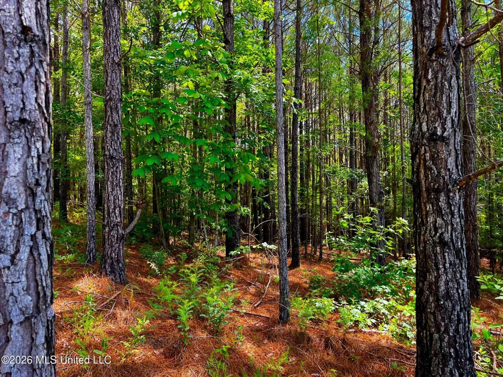 Arthur Drive Brookhaven, MS 39601