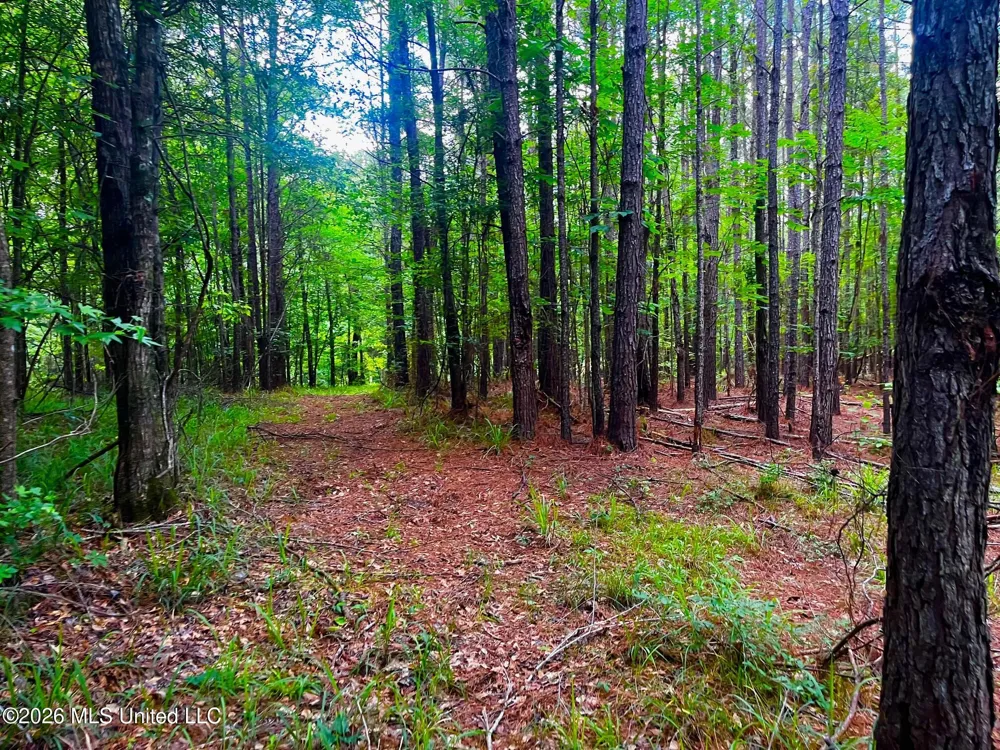 Arthur Drive Brookhaven, MS 39601