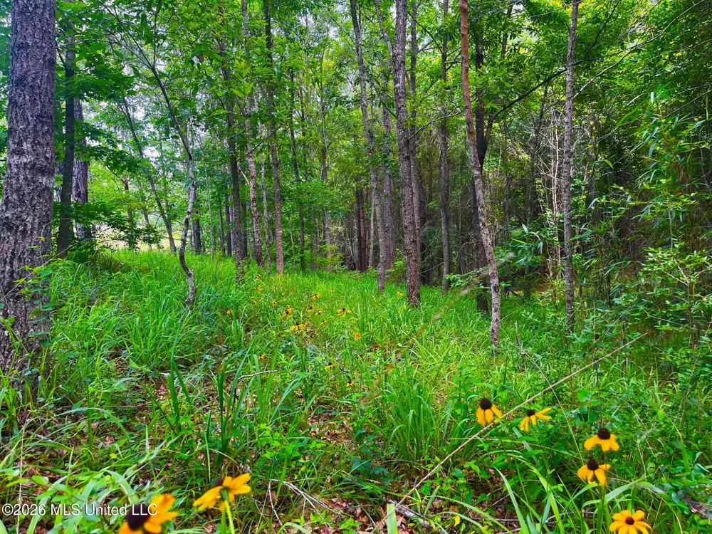 Arthur Drive Brookhaven, MS 39601