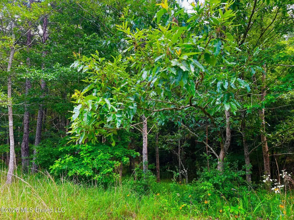 Arthur Drive Brookhaven, MS 39601