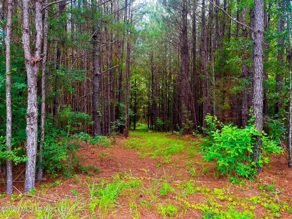 Arthur Drive Brookhaven, MS 39601