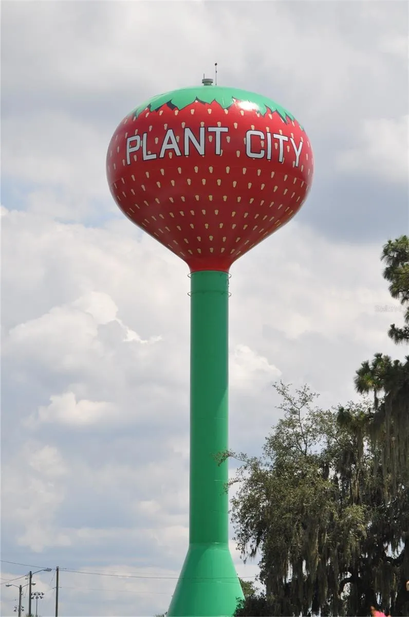 1325 E LAURA STREET Plant City, FL 33563
