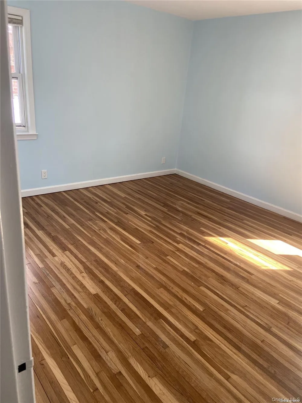 83-08 Langdale Street #1 New Hyde Park, NY 11040