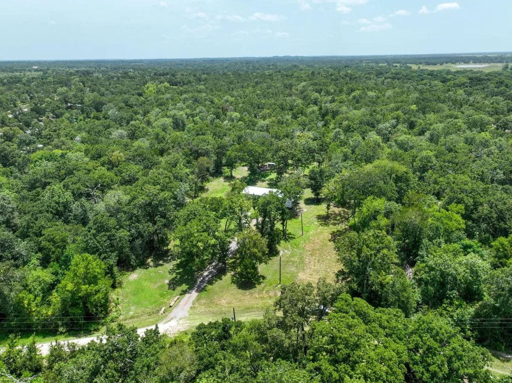 27003 Bedias Drive Bedias, TX 77831