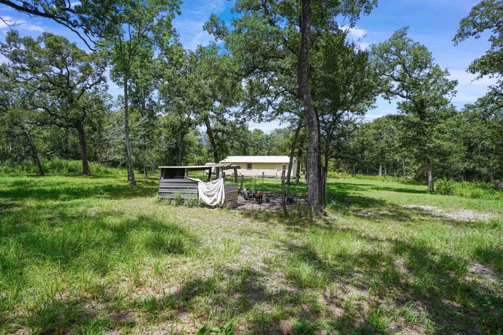 27003 Bedias Drive Bedias, TX 77831
