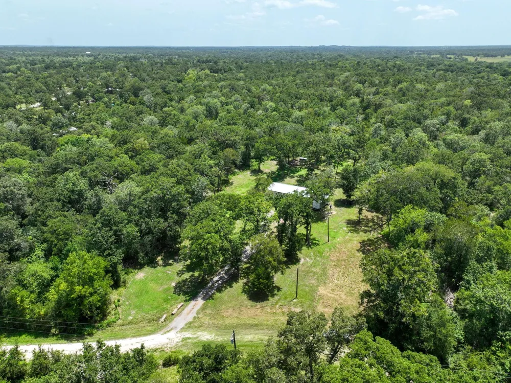 27003 Bedias Drive Bedias, TX 77831