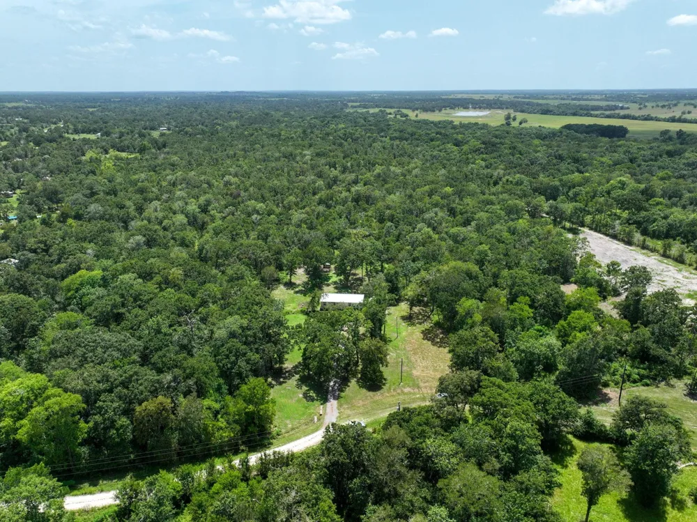 27003 Bedias Drive Bedias, TX 77831