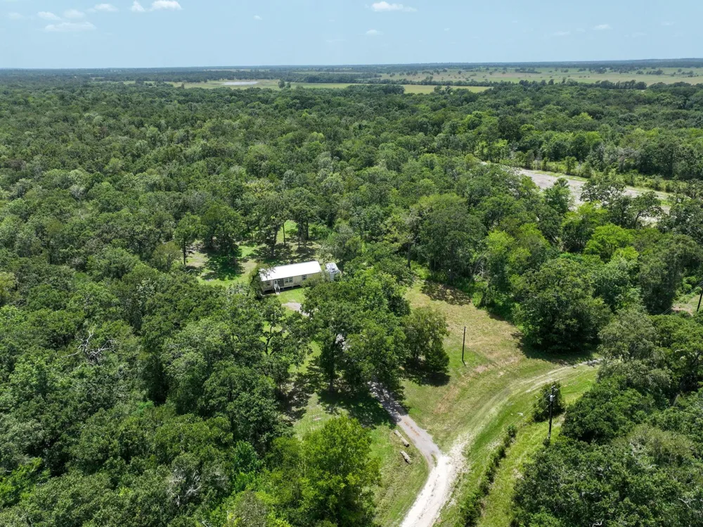 27003 Bedias Drive Bedias, TX 77831