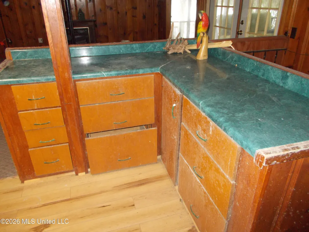 1725 Snow Lake Drive Ashland, MS 38603