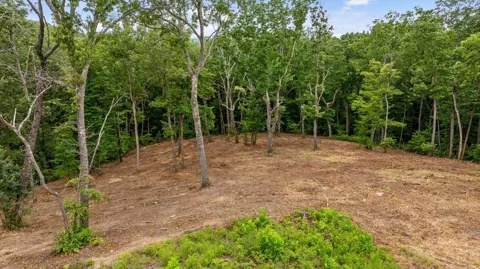 Lot 92 Timberline Trail