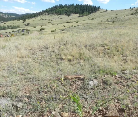 Lot 1-2 Colorado Avenue