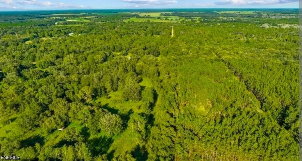 Fort Meade, FL 33841