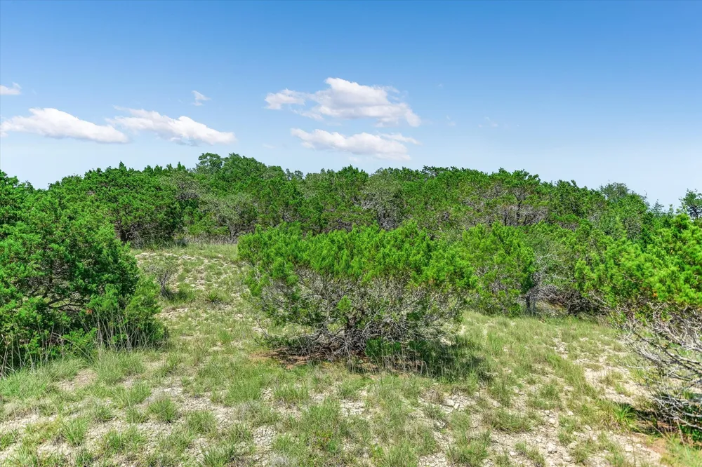 1363 MONTELL ROAD Wimberley, TX 78676