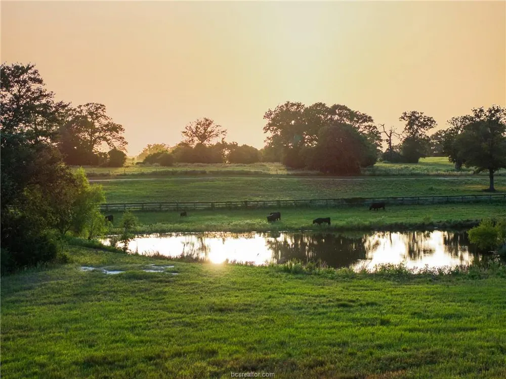 4845 County Road 119 Caldwell, TX 77836