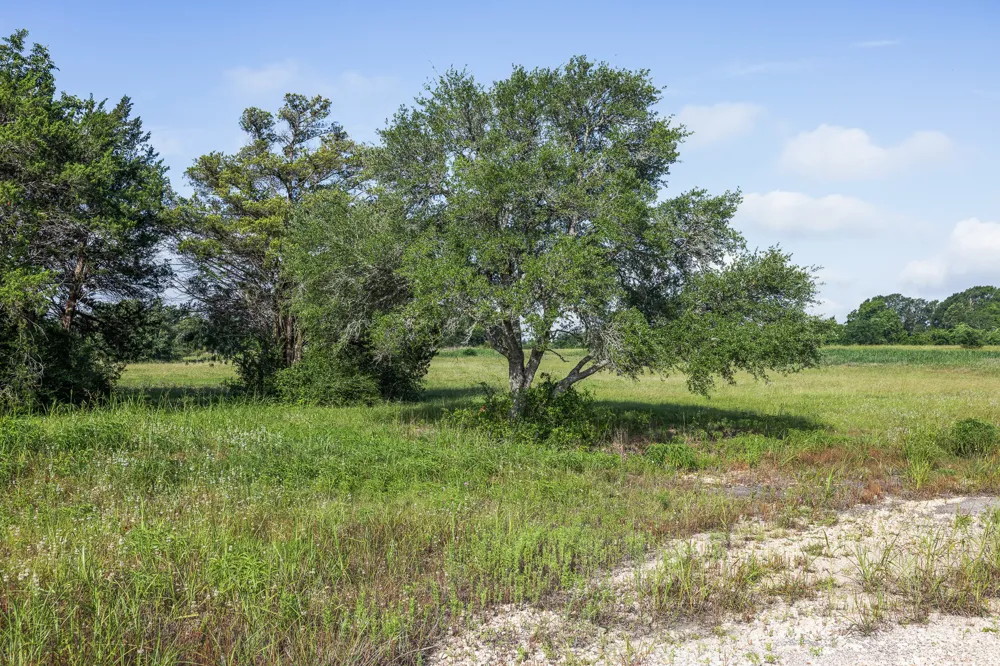 109 Compound Lane Round Top, TX 78954