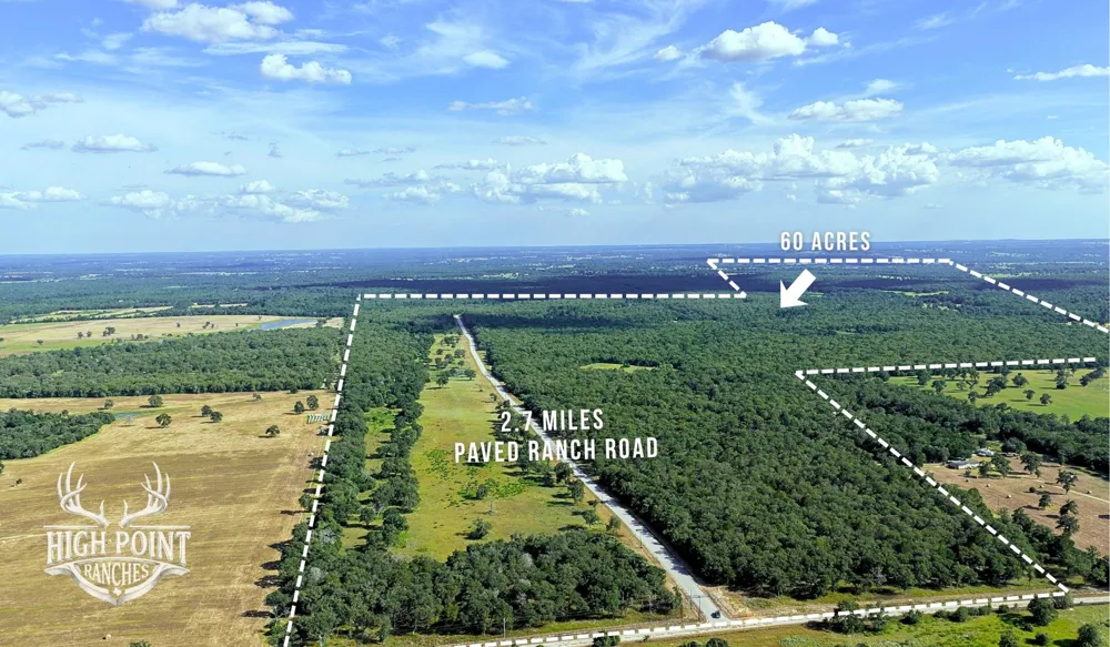 Ranch Road off CR 405 (+/- 60 acres) Lexington, TX 78947