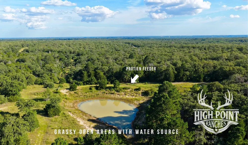 Ranch Road off CR 405 (+/- 60 acres) Lexington, TX 78947