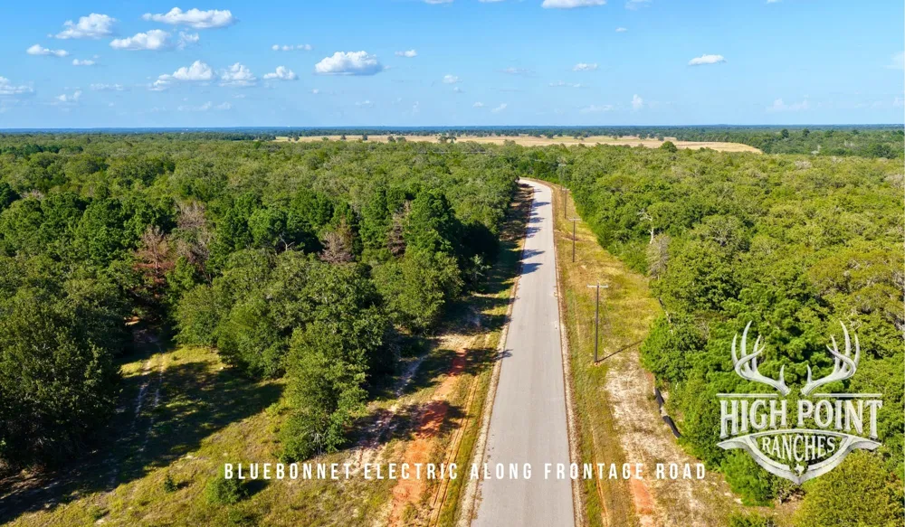 Ranch Road off CR 405 (+/- 60 acres) Lexington, TX 78947