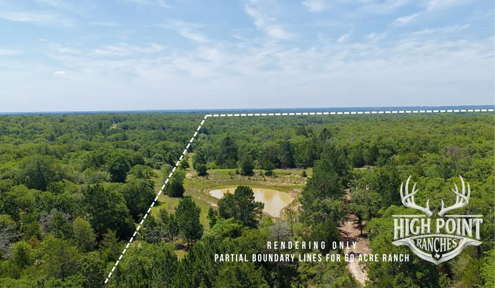 Ranch Road off CR 405 (+/- 60 acres) Lexington, TX 78947