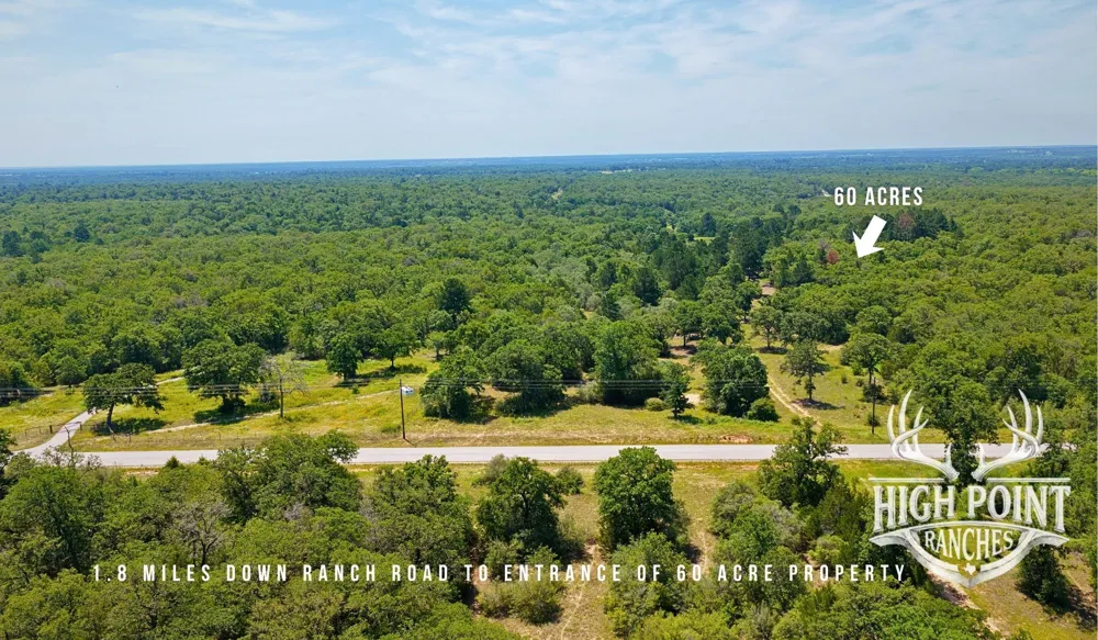 Ranch Road off CR 405 (+/- 60 acres) Lexington, TX 78947