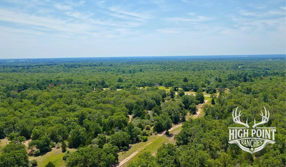 Ranch Road off CR 405 (+/- 60 acres) Lexington, TX 78947