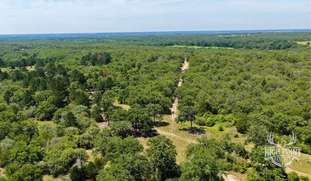 Ranch Road off CR 405 (+/- 60 acres) Lexington, TX 78947
