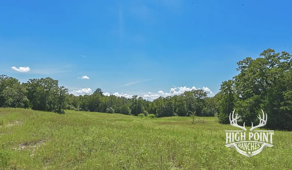 Ranch Road off CR 405 (+/- 60 acres) Lexington, TX 78947