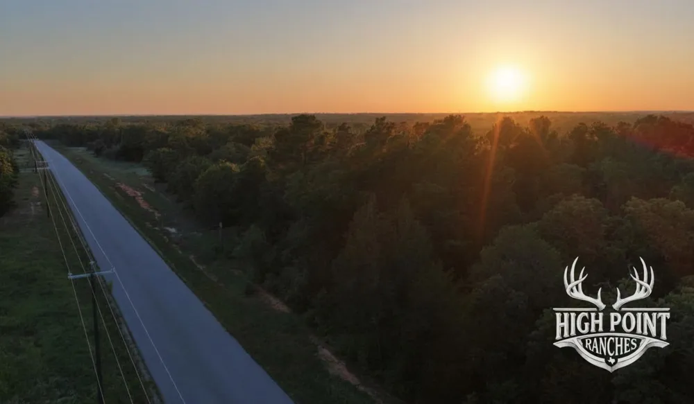 Ranch Road off CR 405 (+/- 60 acres) Lexington, TX 78947