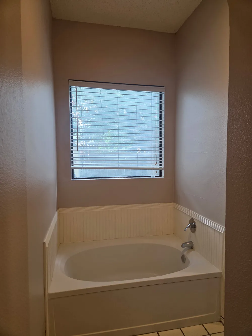3215 Tree Grove Drive San Antonio, TX 78247
