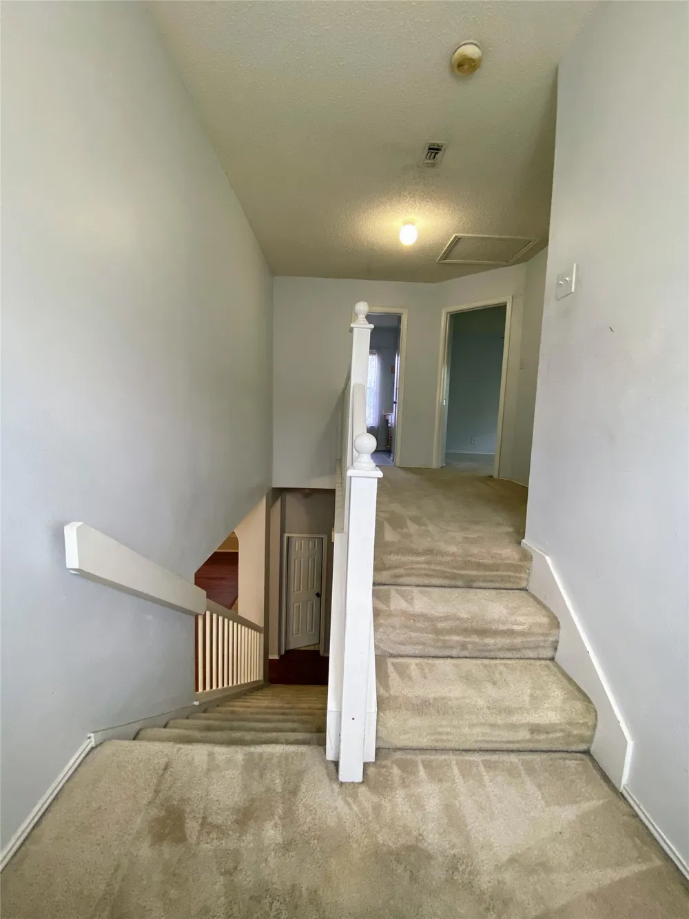 3215 Tree Grove Drive San Antonio, TX 78247