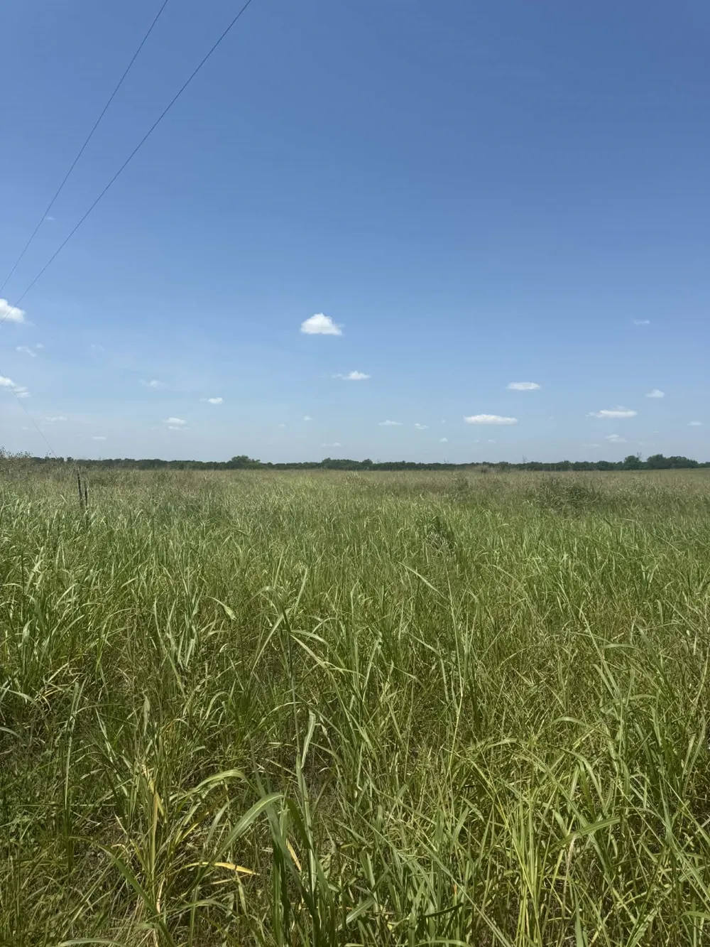 1262 CR 134 E Burlington, TX 76519