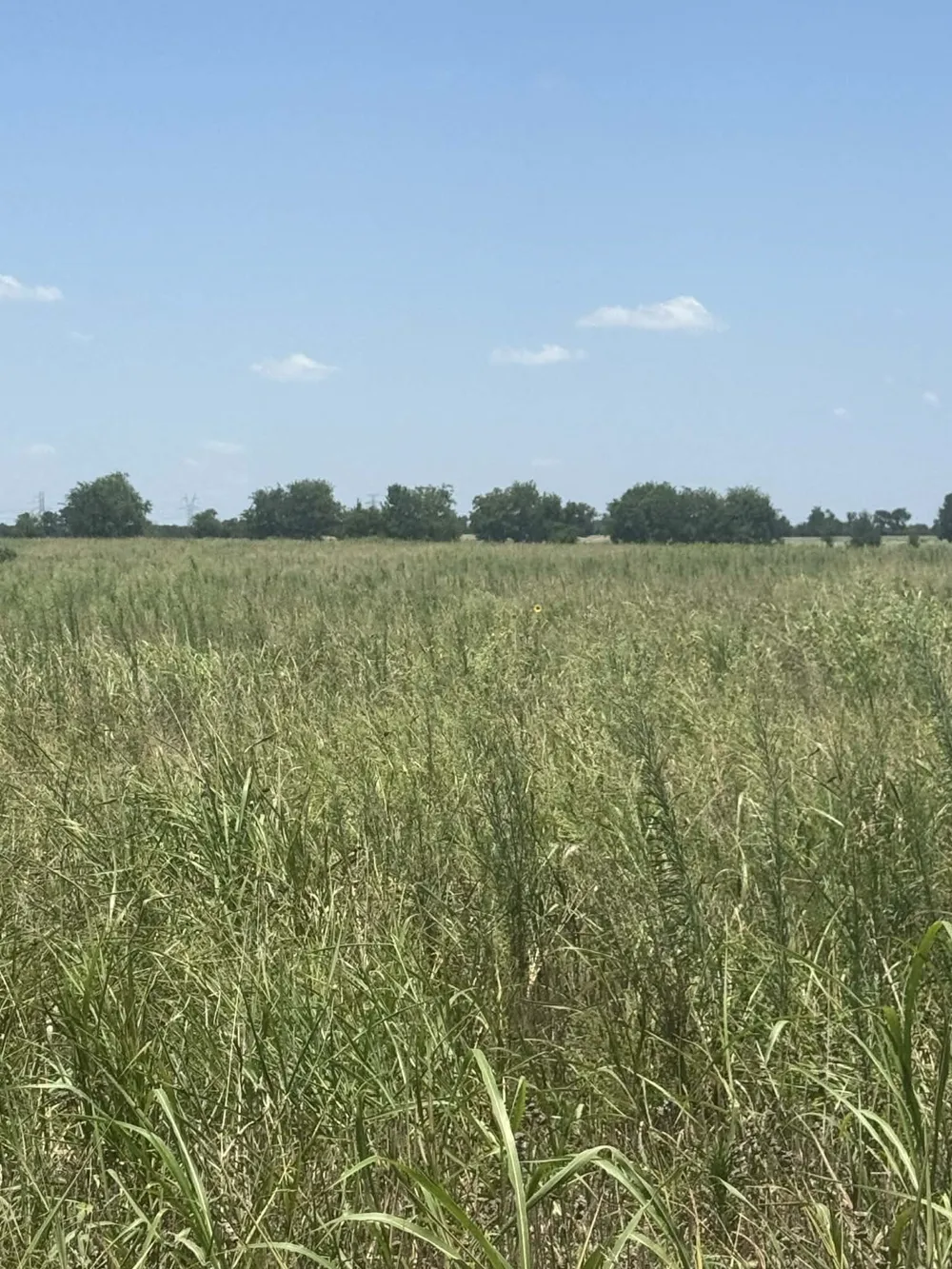 1262 CR 134 E Burlington, TX 76519