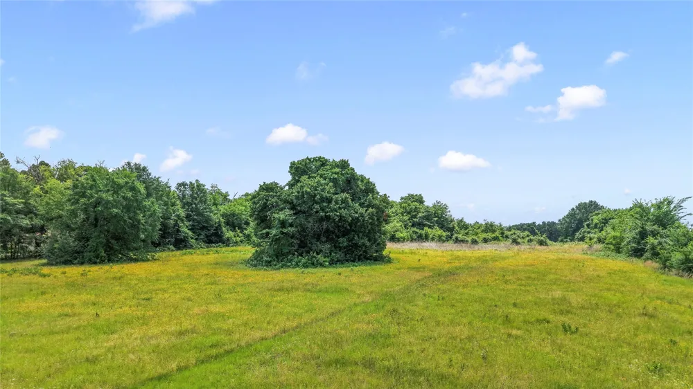 County Road 2300 Gun Barrel City, TX 75156