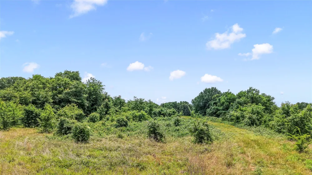 County Road 2300 Gun Barrel City, TX 75156