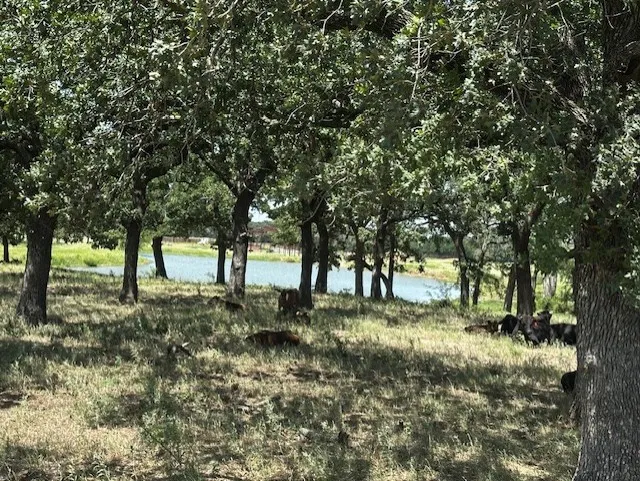 10400 Lipan Highway Lipan, TX 76462
