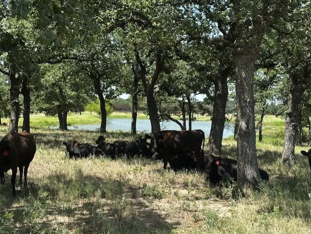 10400 Lipan Highway Lipan, TX 76462