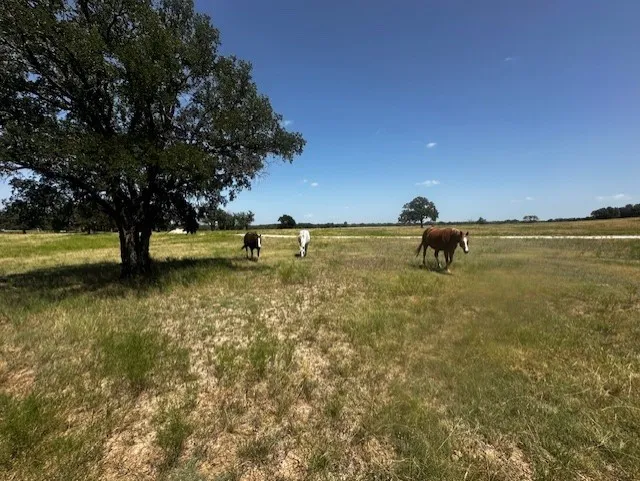 10400 Lipan Highway Lipan, TX 76462