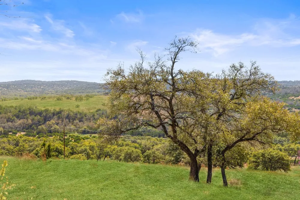 158 Watch Hill Road Stonewall, TX 78671