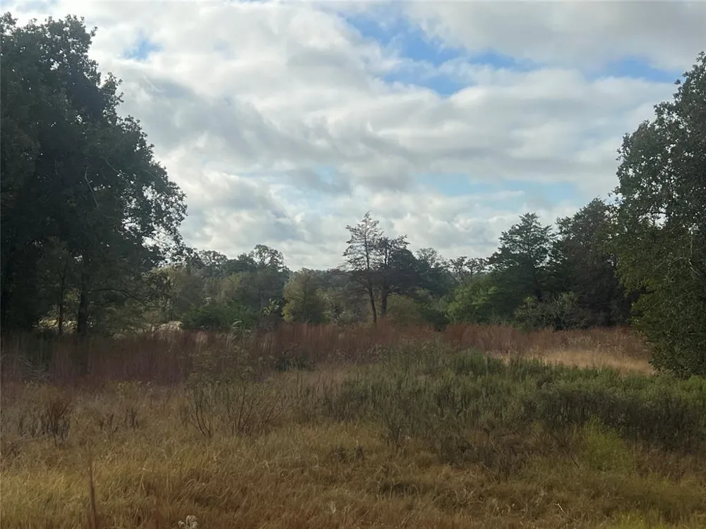 25 Walleye Creek Lexington, TX 78947