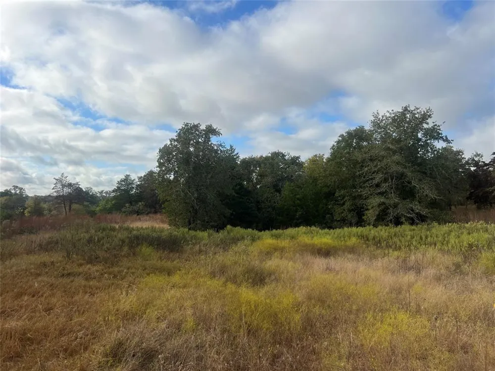 25 Walleye Creek Lexington, TX 78947