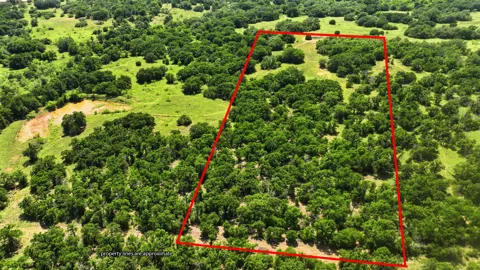 424 County Road 581