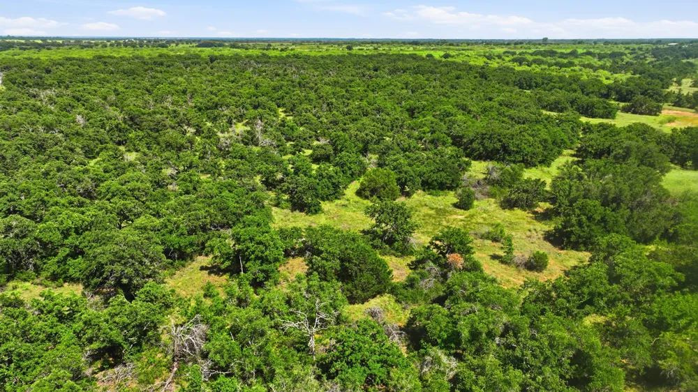 424 County Road 581 Cisco, TX 76437