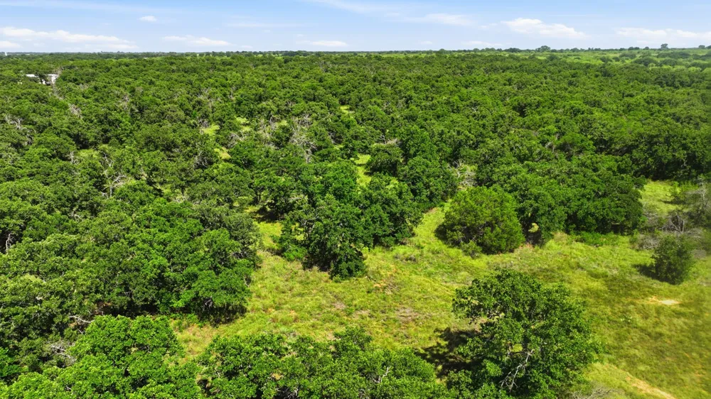 424 County Road 581 Cisco, TX 76437