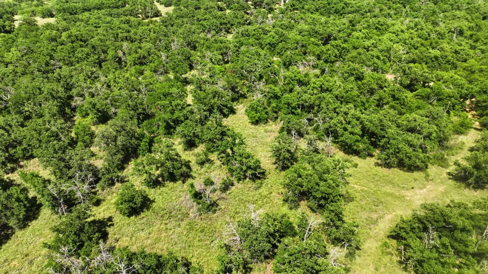 424 County Road 581 Cisco, TX 76437